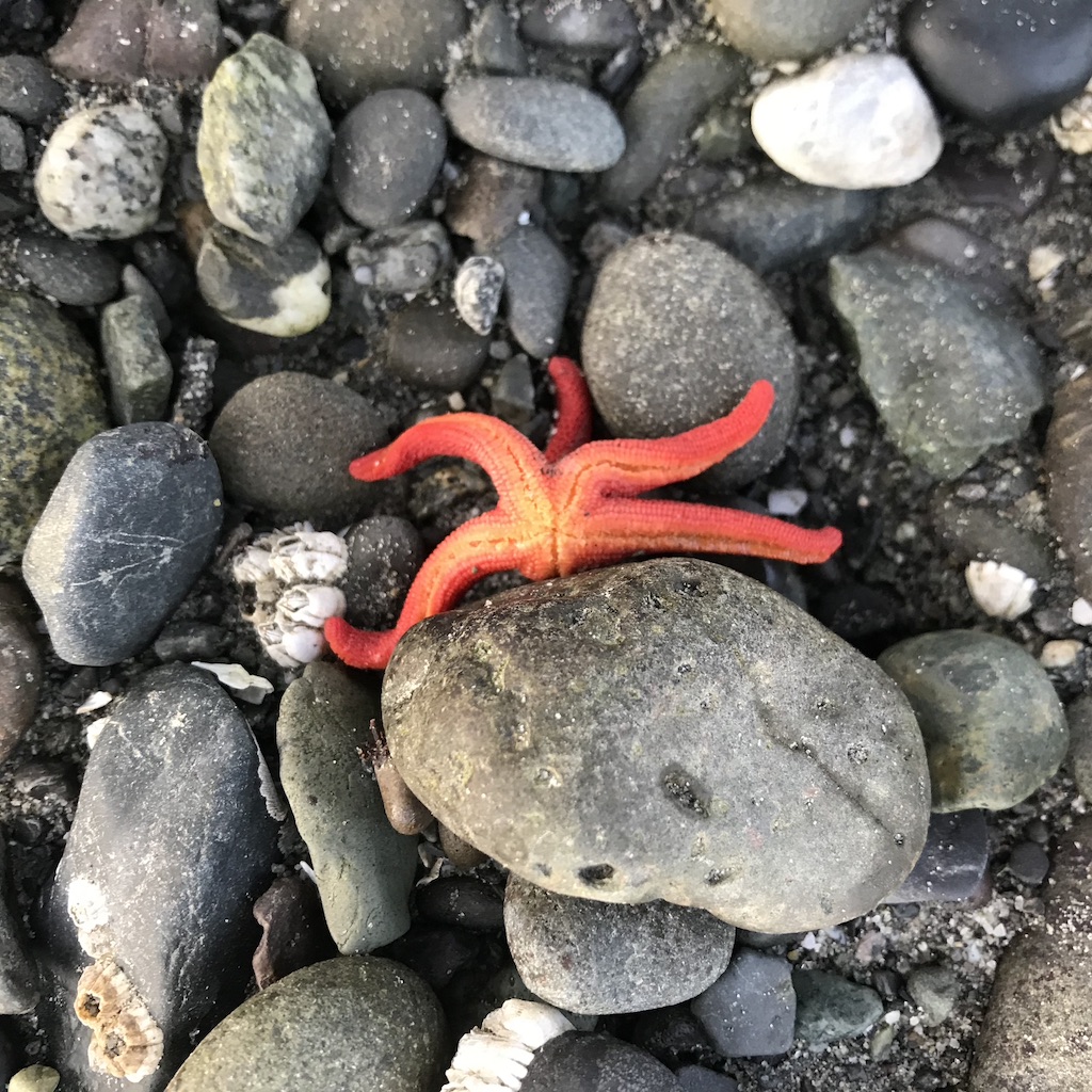 67e99b25 1255 4cf1 8ff7 D46b98ef5d3f 1 105 C 2