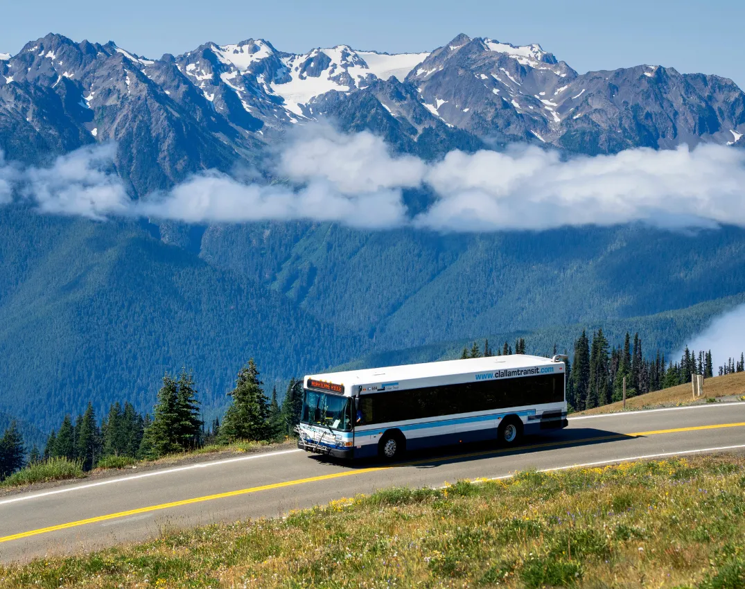 CFDT: Hike Hurricane Ridge in Olympic National Park